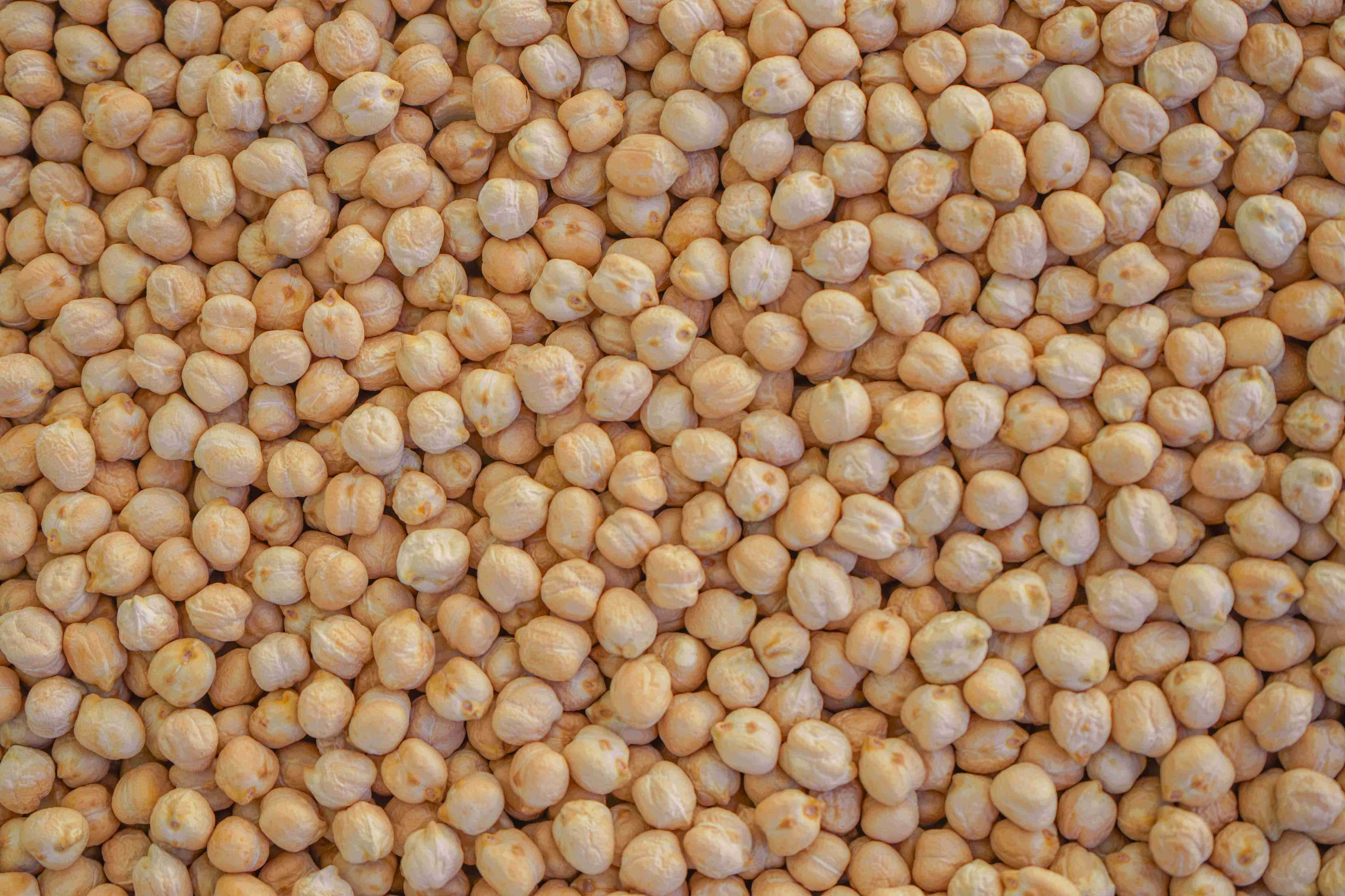 Chickpea: Another year with low planting area, but with good prospects in the market