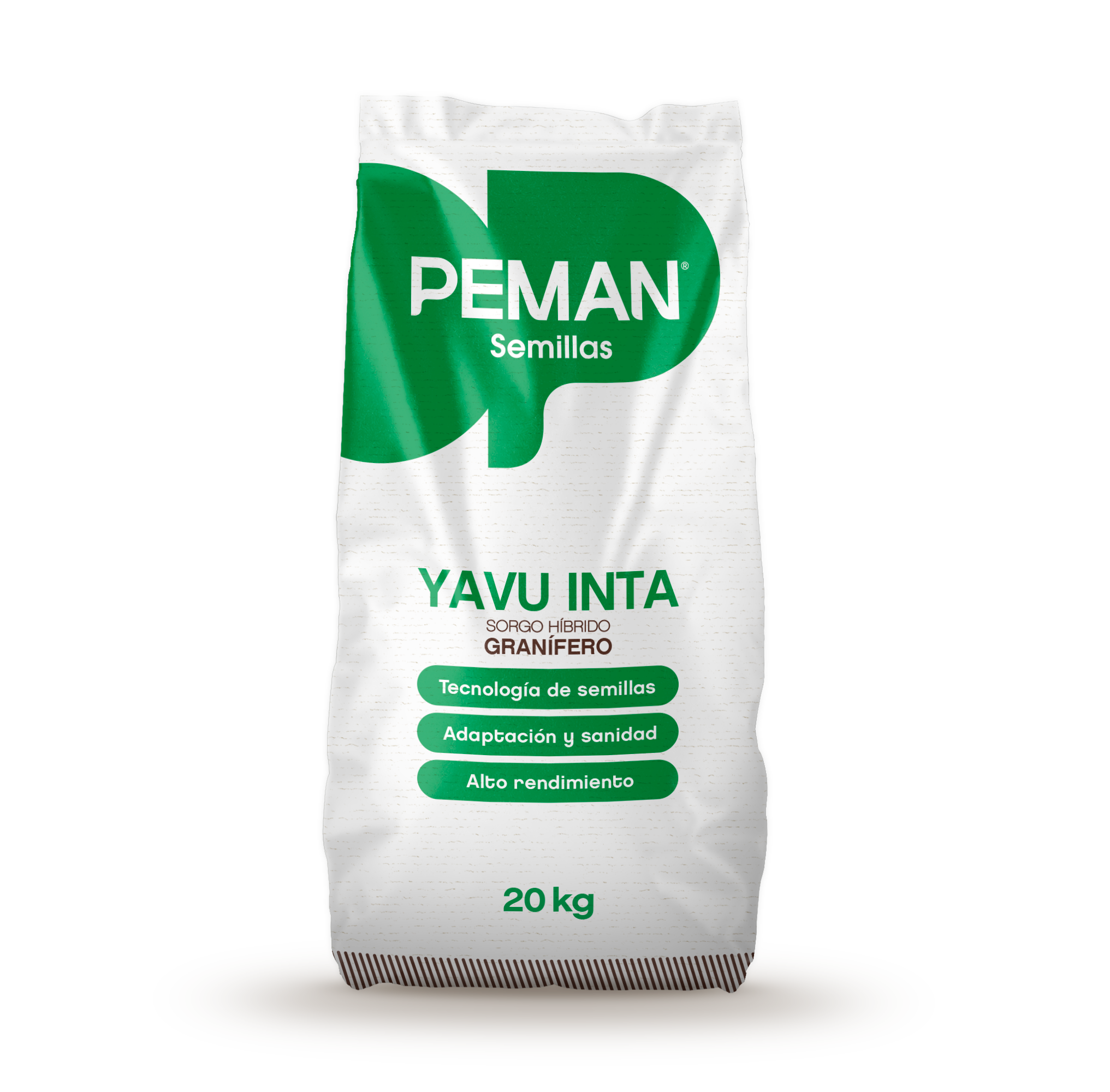 YAVU INTA Hybrid Grain Sorghum